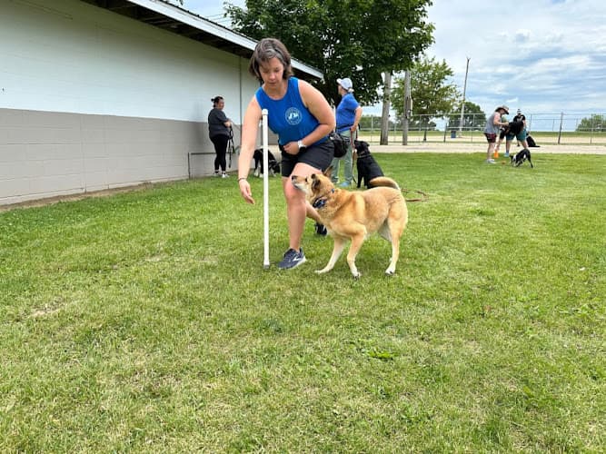 The Composed Canine Dog Training