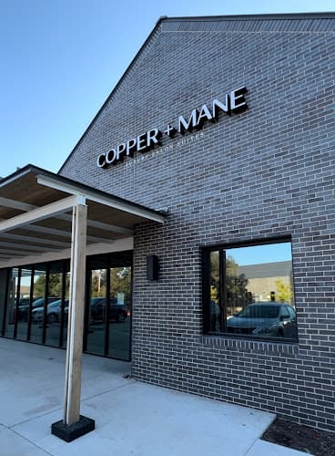 Copper + Mane Salons