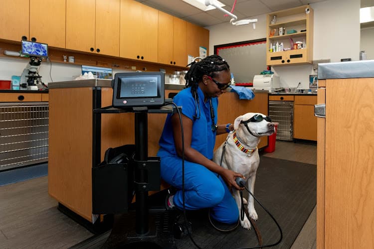 PetSmart Veterinary Services - Georgetown