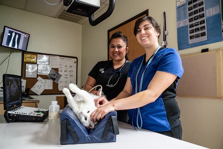 Block House Creek Animal Hospital