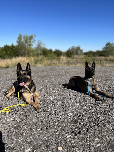 Cowboy K9 Academy