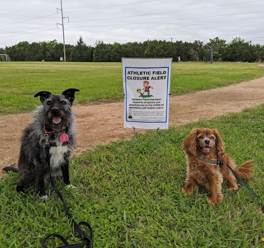 The Stellar Dog, LLC