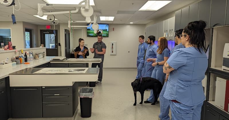 Mercy Veterinary Hospital