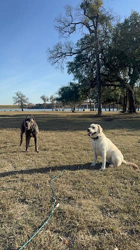 A Better Bond Dog Training