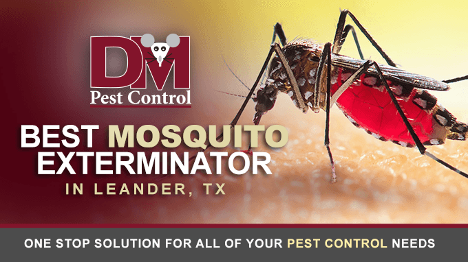D. M. PEST CONTROL