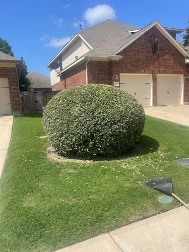 El Camino Landscaping Llc