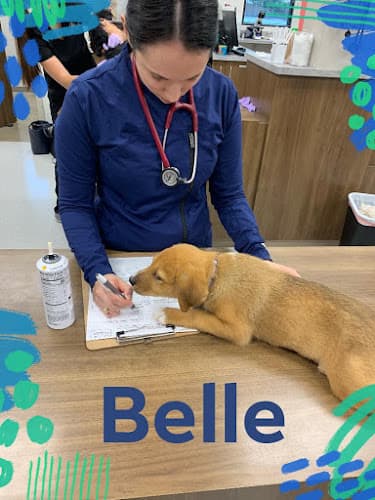 New Hope Animal Hospital